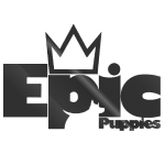 Logo de Epic Puppies